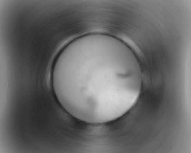 X0000092110886200709262157