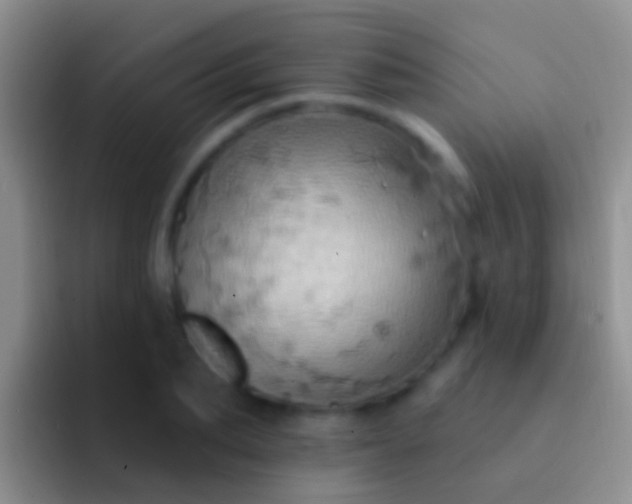 X0000092110887200709262157