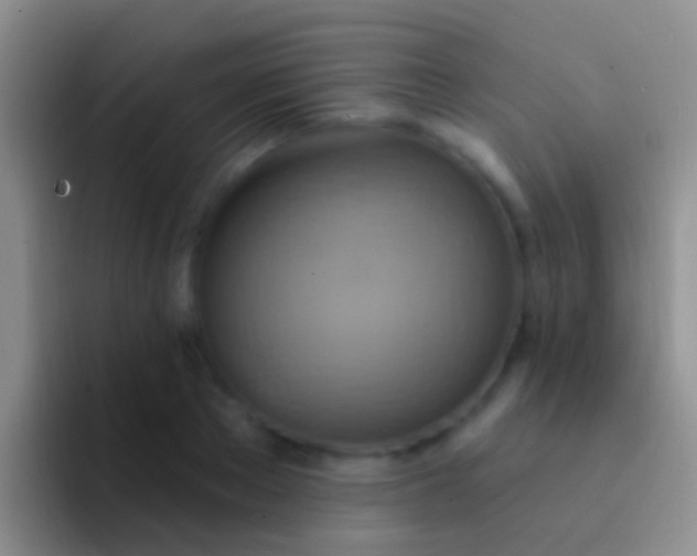 X0000092110889200709262157