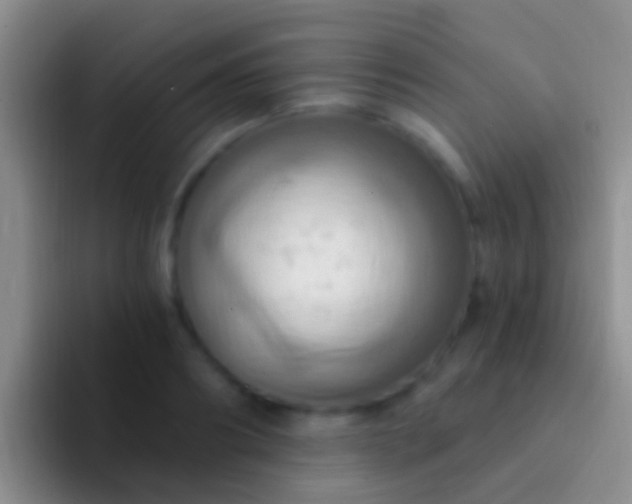 X0000092110890200709262157