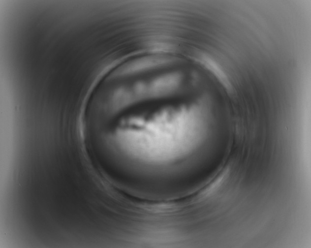 X0000092110891200709262157