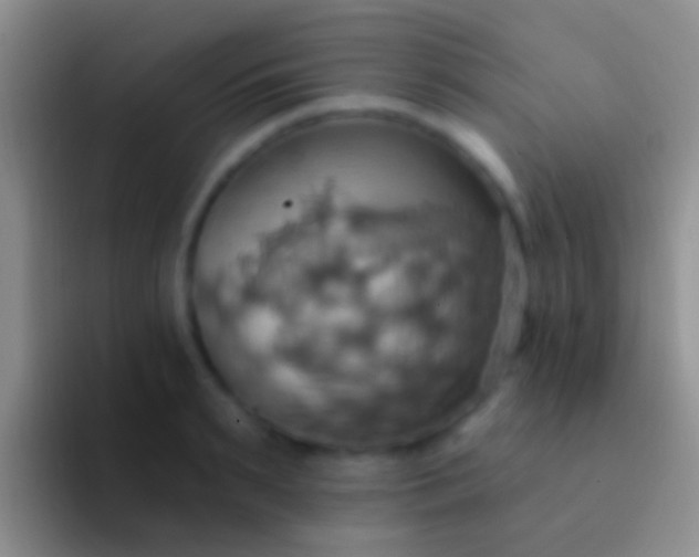 X0000092110895200709262157