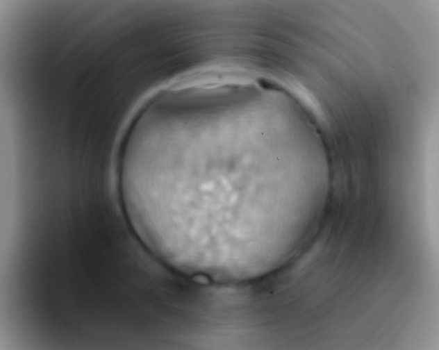 X0000092110896200709262157