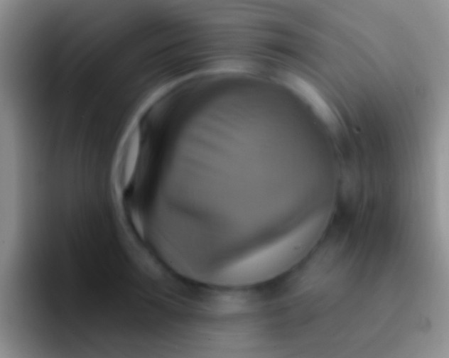 X0000092110899200709262157