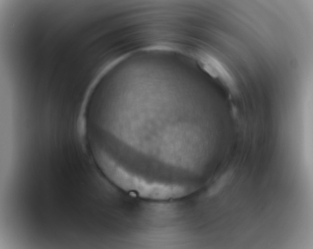 X0000092110900200709262157