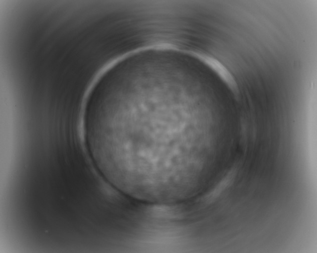 X0000092110904200709262157