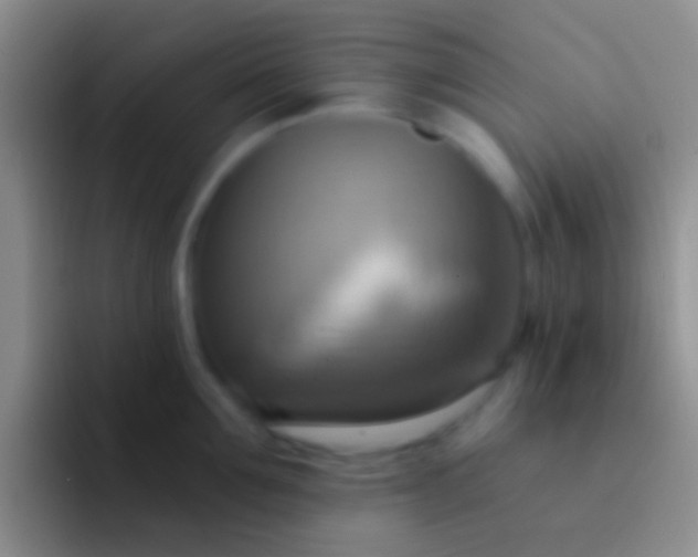 X0000092110907200709262157