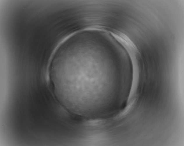 X0000092110908200709262157