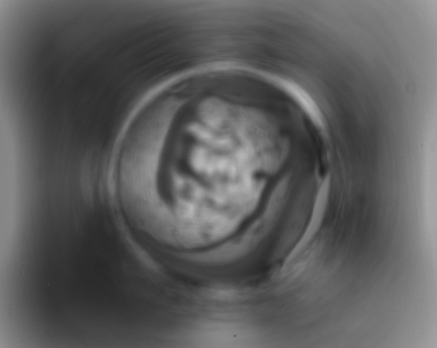 X0000092110911200709262157