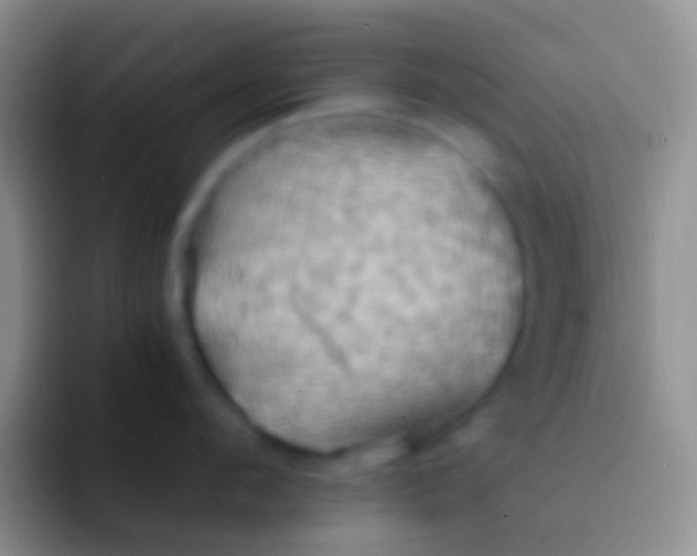 X0000092110912200709262157