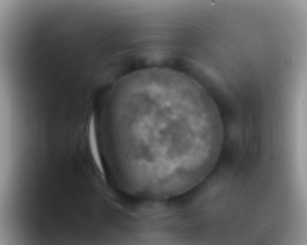 X0000092110914200709262156