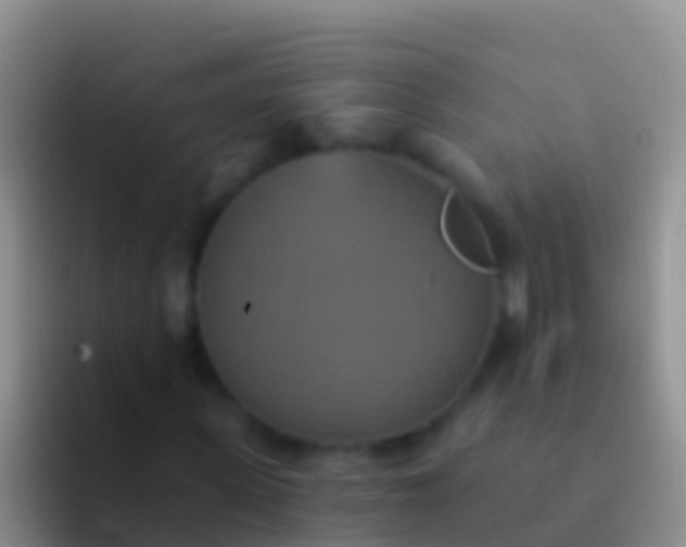 X0000092110915200709262156