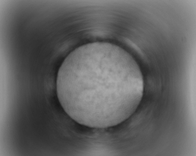 X0000092110918200709262156