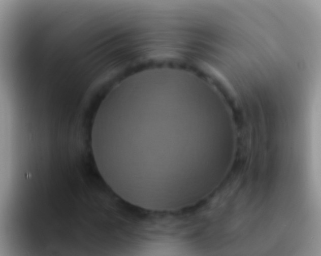 X0000092110919200709262156