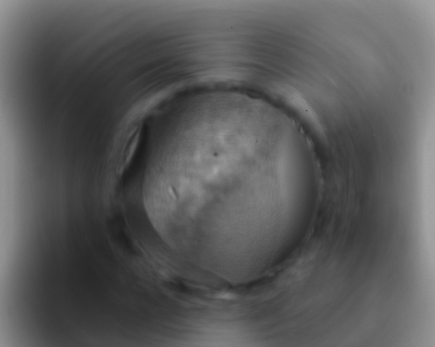 X0000092110920200709262156