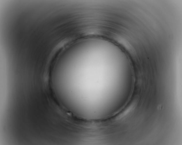 X0000092110922200709262156