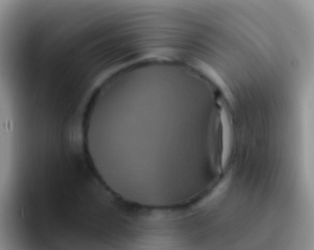 X0000092110923200709262156