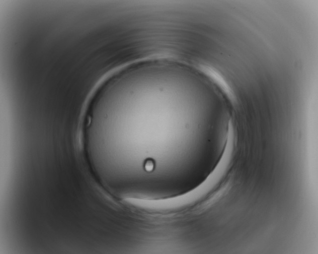 X0000092110924200709262156