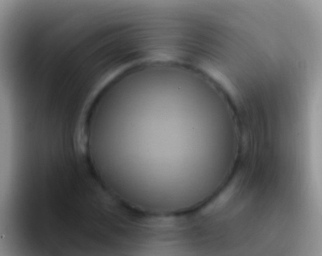 X0000092110925200709262156