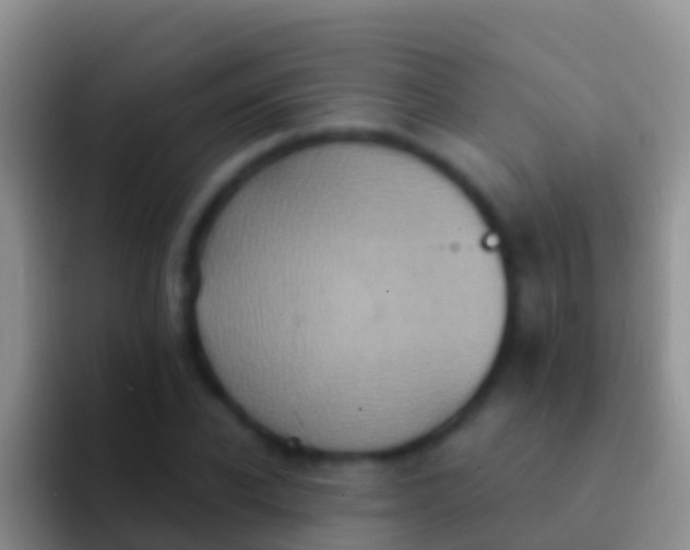 X0000092110926200709262156