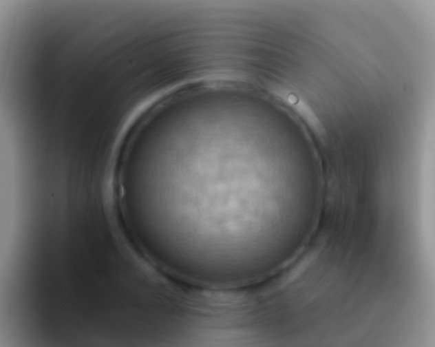 X0000092110928200709262156