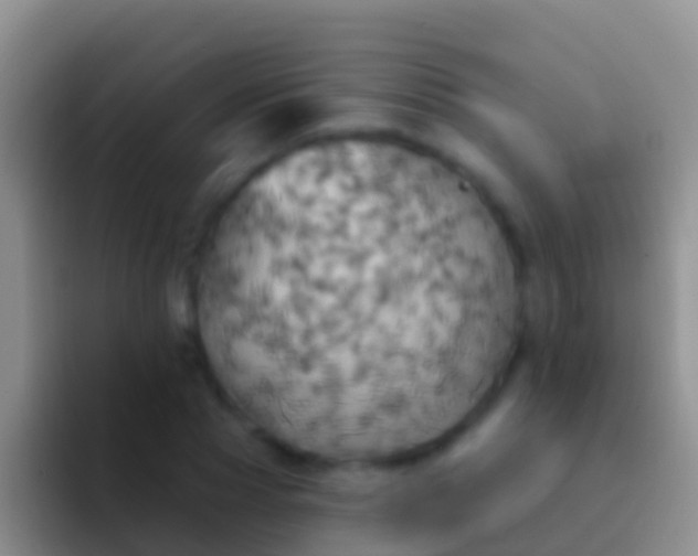 X0000092110929200709262156