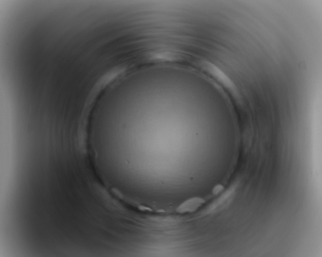 X0000092110930200709262156