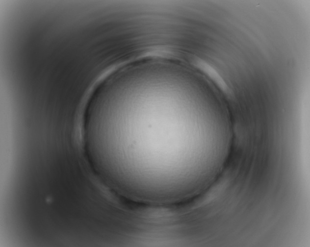 X0000092110931200709262156