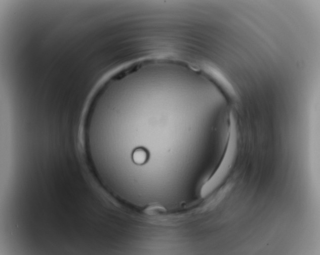 X0000092110932200709262156