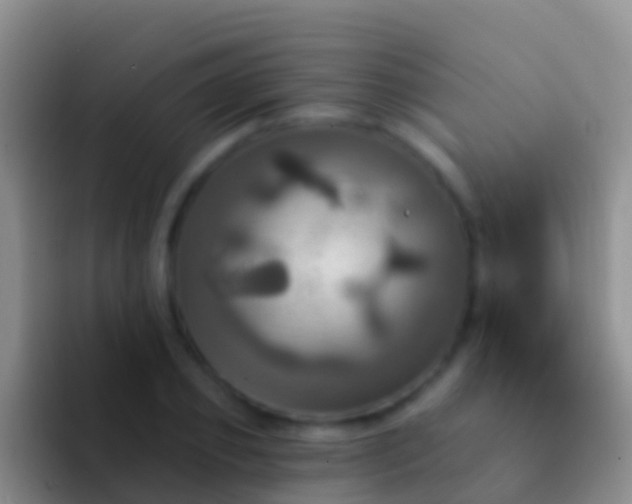 X0000092110933200709262156