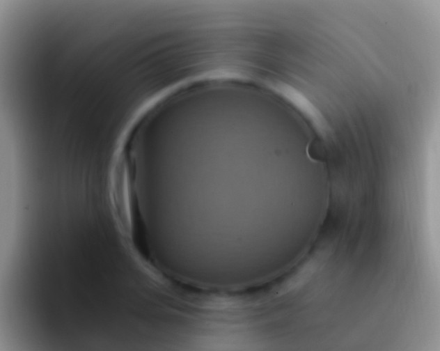 X0000092110935200709262156