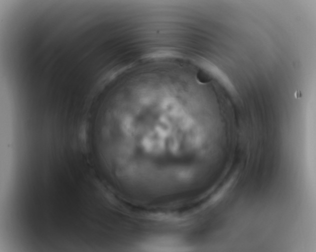 X0000092110937200709262156