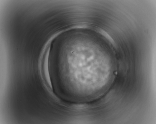 X0000092110939200709262156