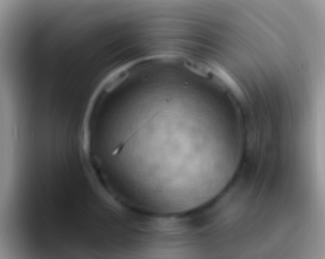 X0000092110940200709262156