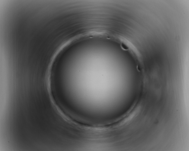 X0000092110941200709262156