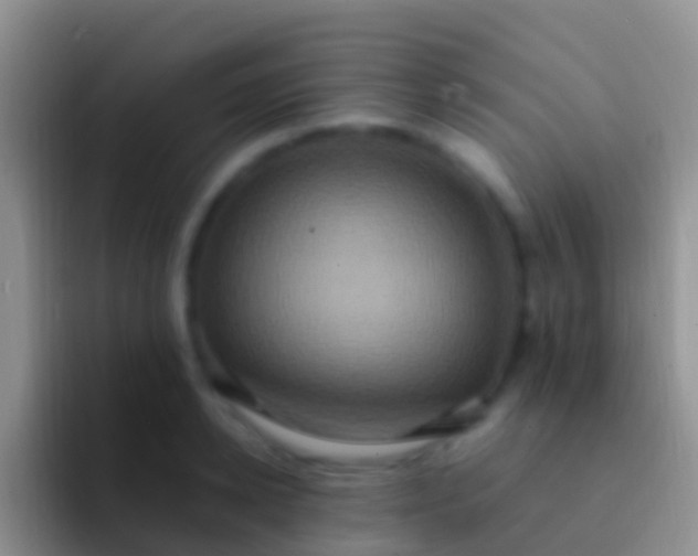 X0000092110942200709262156