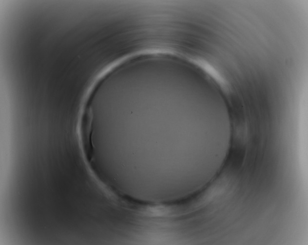 X0000092110943200709262156