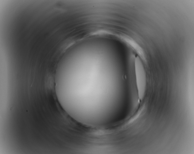 X0000092110945200709262156