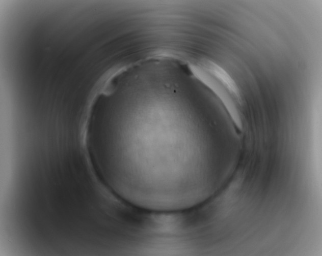 X0000092110946200709262156