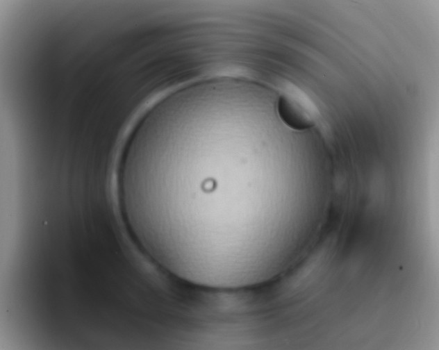 X0000092110947200709262156