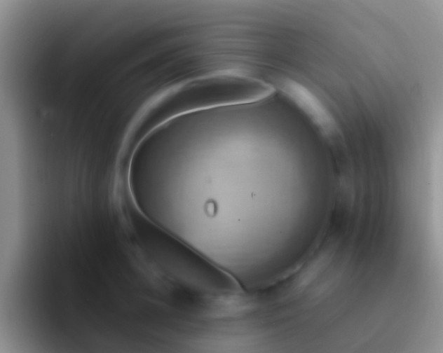 X0000092110948200709262156