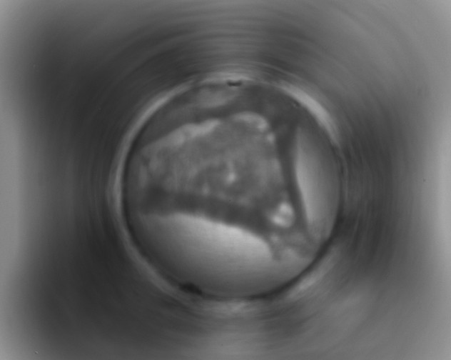 X0000092110949200709262156