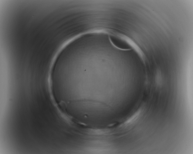 X0000092110951200709262156