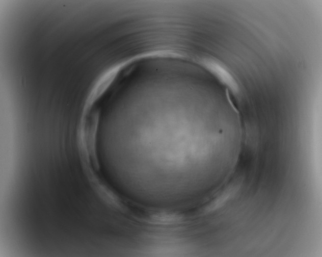 X0000092110952200709262156