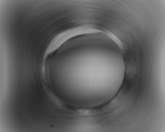 X0000092110956200709262157