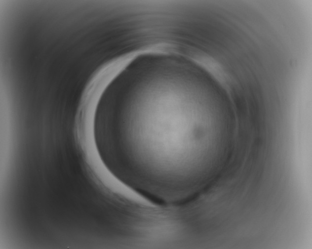 X0000092110960200709262157