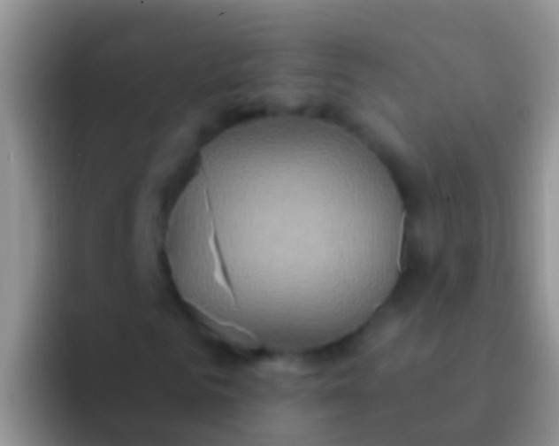 X0000092110961200709262156