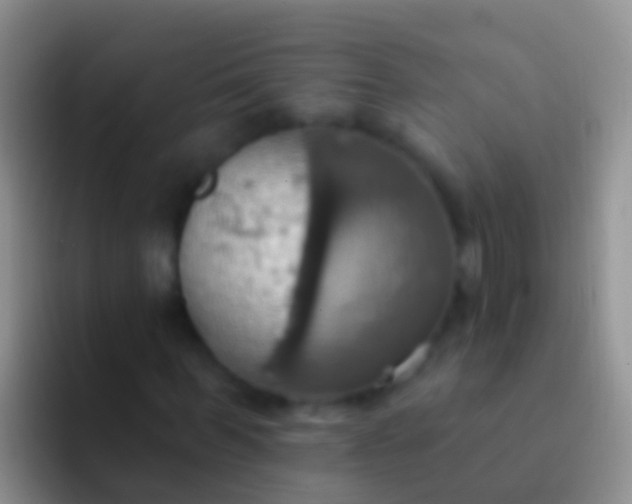 X0000092110963200709262156