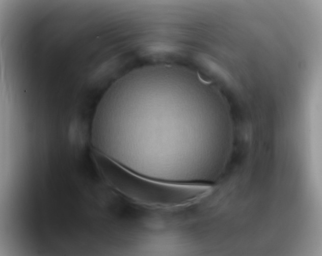 X0000092110965200709262156