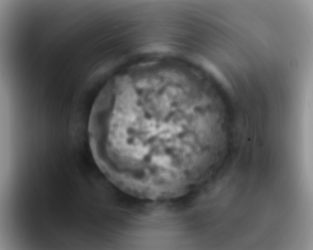 X0000092110967200709262156